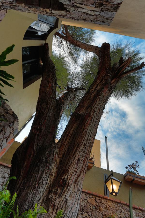 Hotel Casa Nare Adults Only San Miguel de Allende Exterior foto
